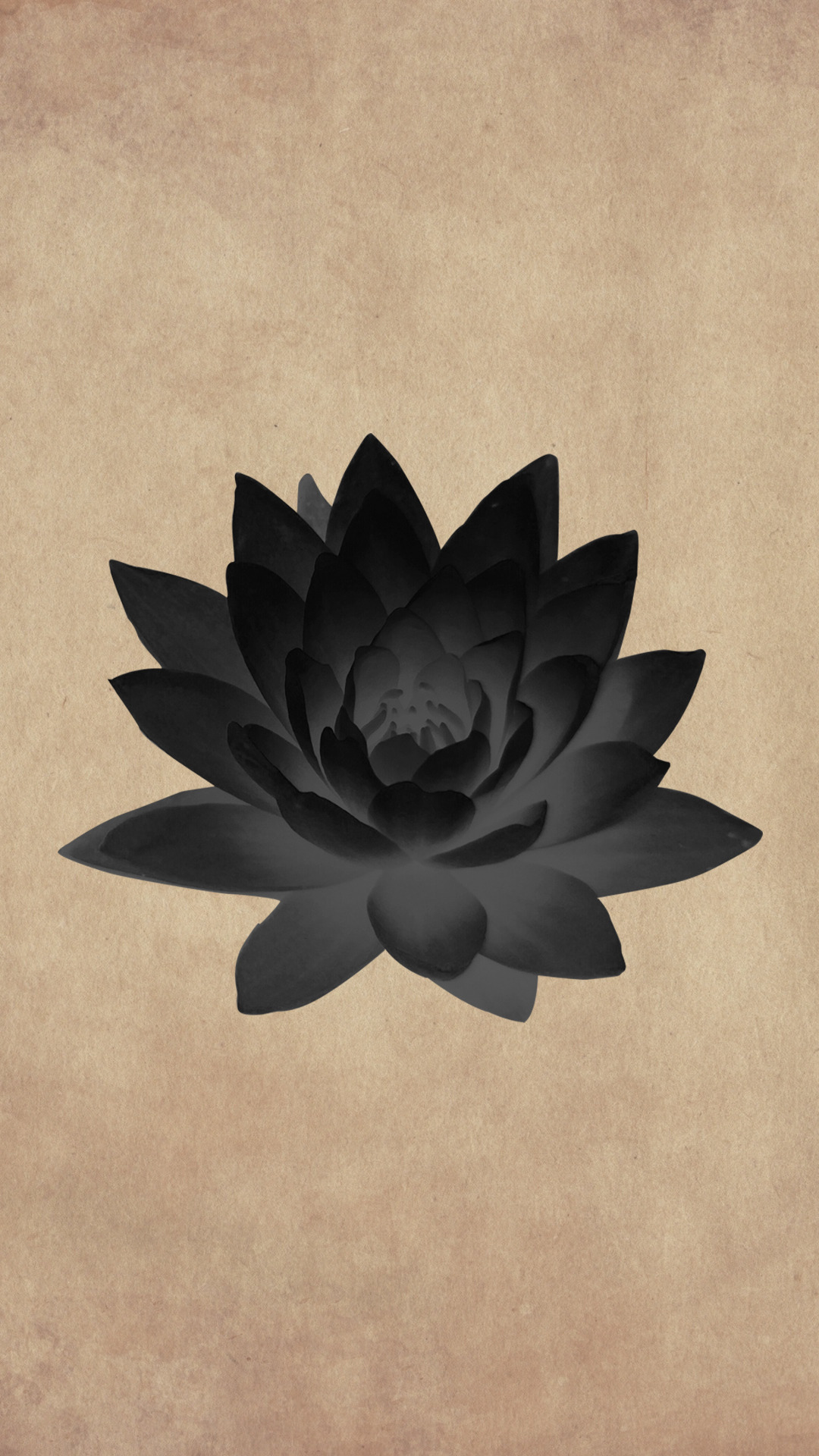 Un lotus noir sur un fond de papier parchemin